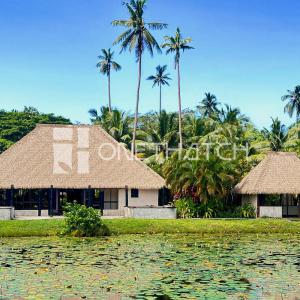 Maldives Thatch Roof Replacement: Durable, Maintenance-Free Solutions from the Direct Manufacturer Maldives Thatch Roof Replacement: Durable, Maintenance-Free Solutions from the Direct Manufacturer